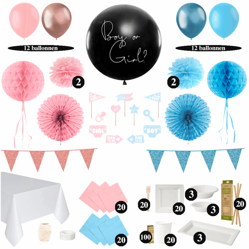 Gender Reveal Ballon Versiering Pakket