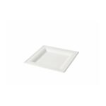 Gebaksbordjes BIO 16x16cm - 20 stuks
